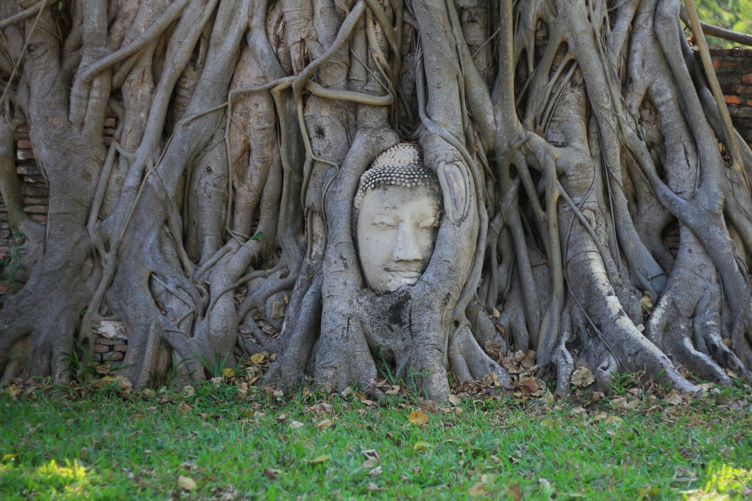 曼谷近郊必去！世界遺產大城府與猴子之城華富里